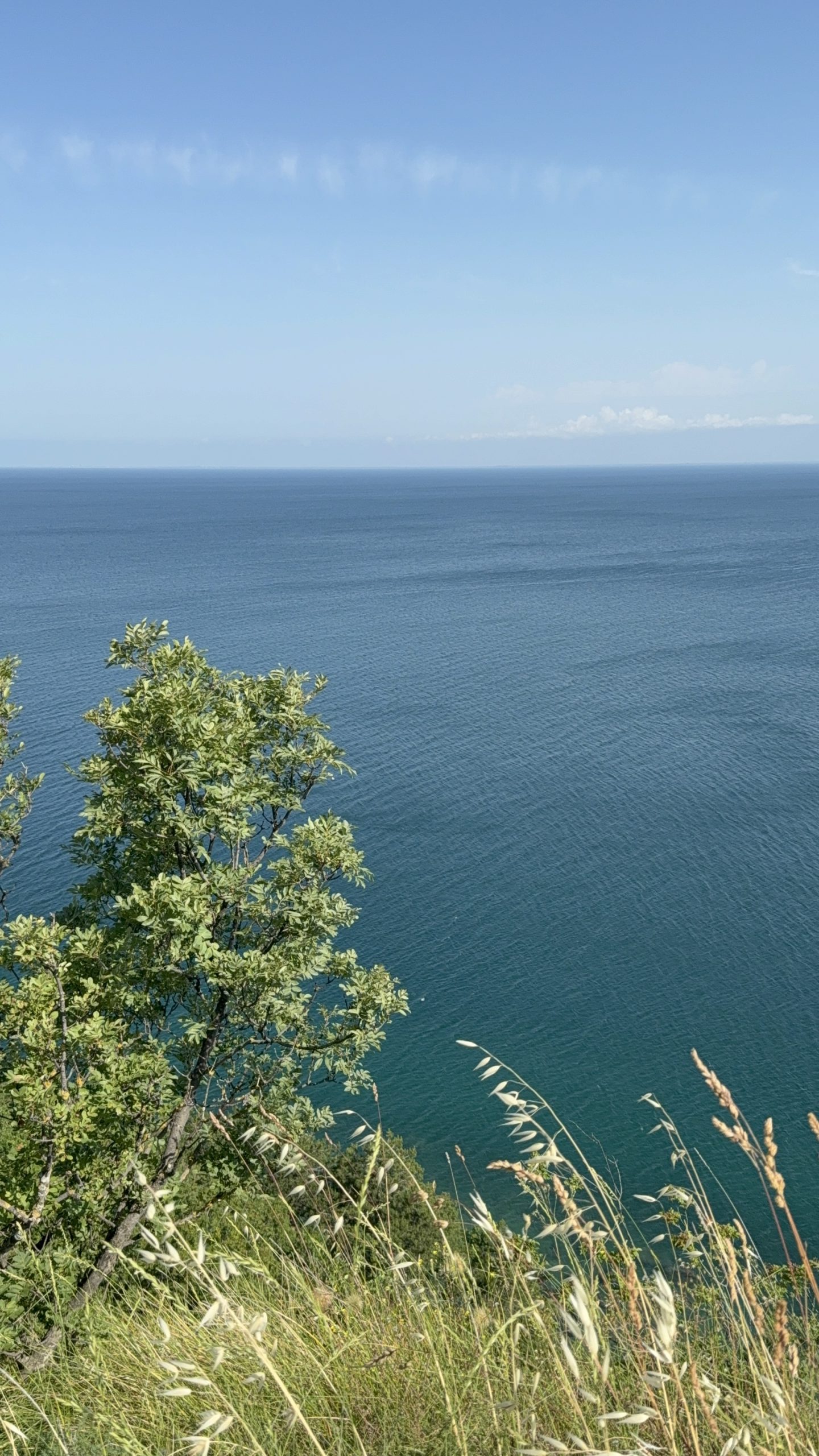 Read more about the article Negovanje
